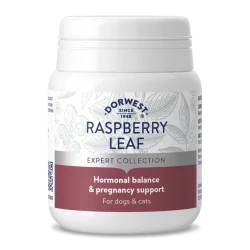 DW Raspberry Leaf for Dogs & Cats 100 Tablets