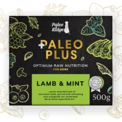 PR Lamb & Mint Paleo Plus WD 500g
