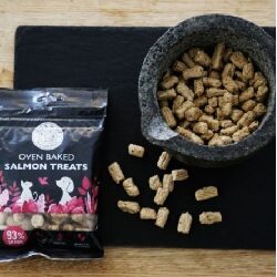 NM Salmon Treats from Leo & Wolf Oven Baked 100g