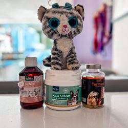 Supplements for Cats