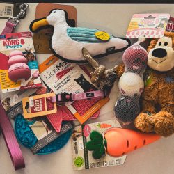 Accessories & Toys