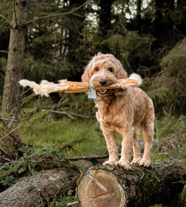 AC Hairy Rabbit Stick Giant (single) - Image 2