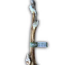 AC Hairy Rabbit Stick Giant (single)