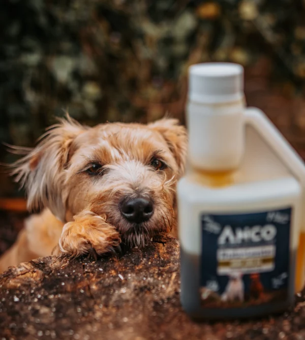 AC Hemp Oil with Herbs 250ml - Image 2