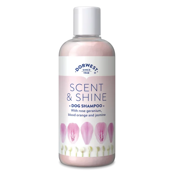 DW Shampoo Scent & Shine 250ml