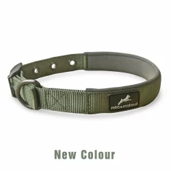 M&M Collar Green Buckle Large